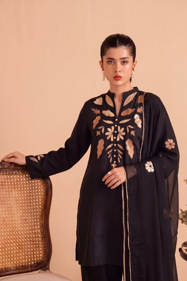 Silk Addition With Velvet applique 01