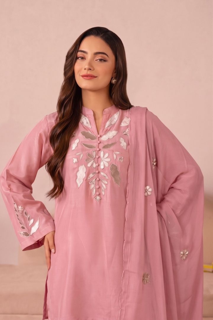 Silk Addition With Velvet applique 02